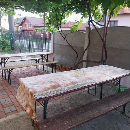 Hotel Casa Andreea Novaci-Străini Esterno foto