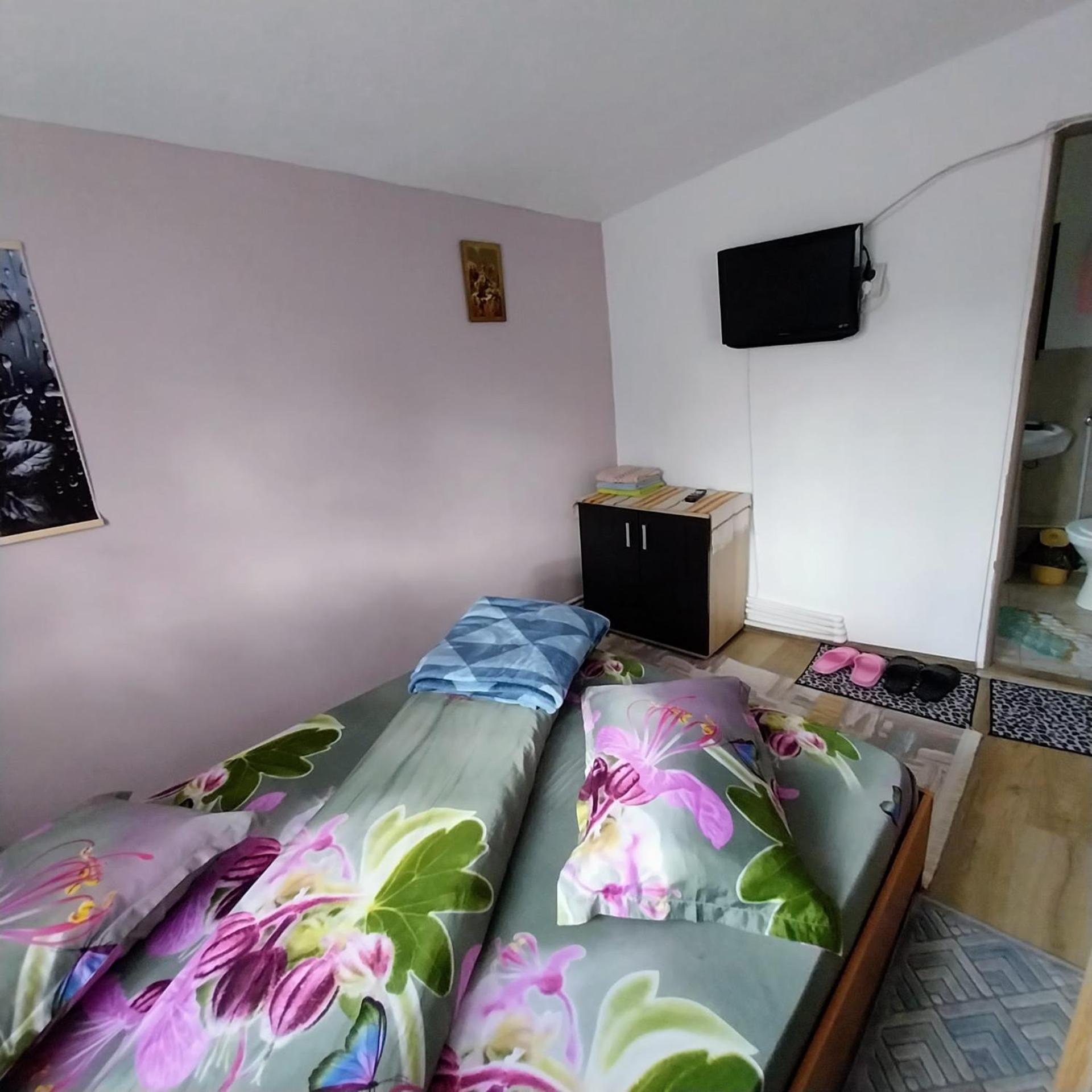 Hotel Casa Andreea Novaci-Străini Esterno foto