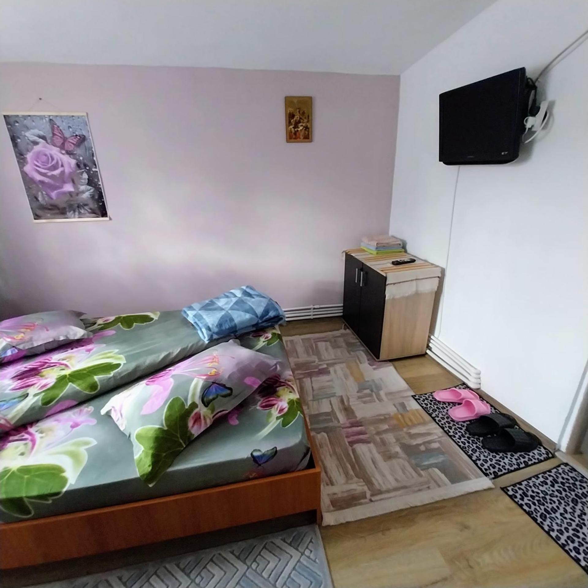 Hotel Casa Andreea Novaci-Străini Esterno foto